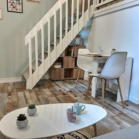 Le Temps Suspendu - Au Coeur D'Albi Appartement Buitenkant foto