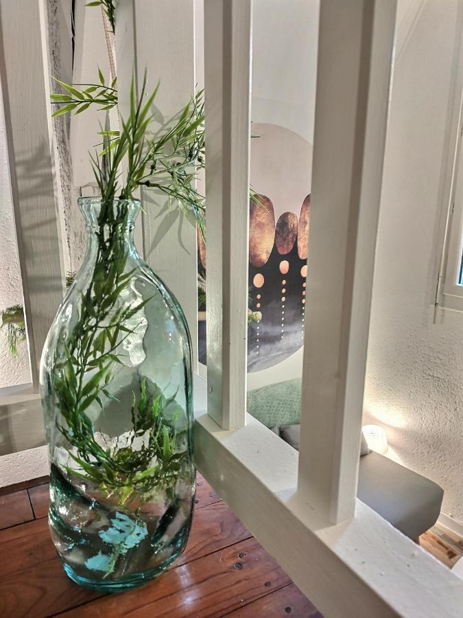 Le Temps Suspendu - Au Coeur D'albi Appartement Albi