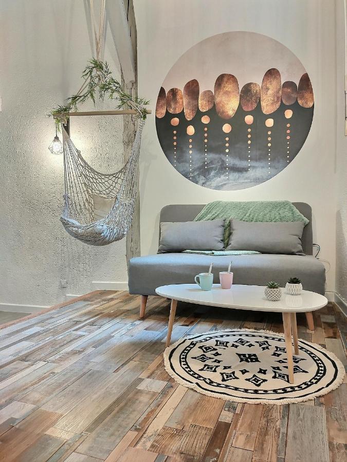 Le Temps Suspendu - Au Coeur D'albi Apartment